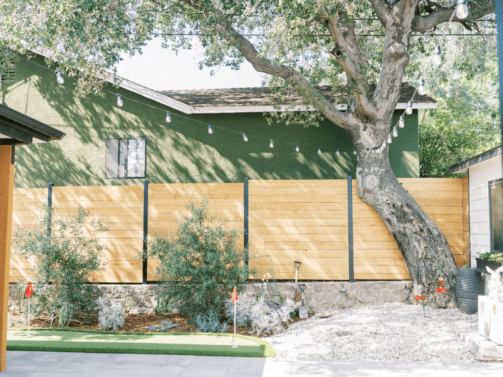 best shade trees for southern california