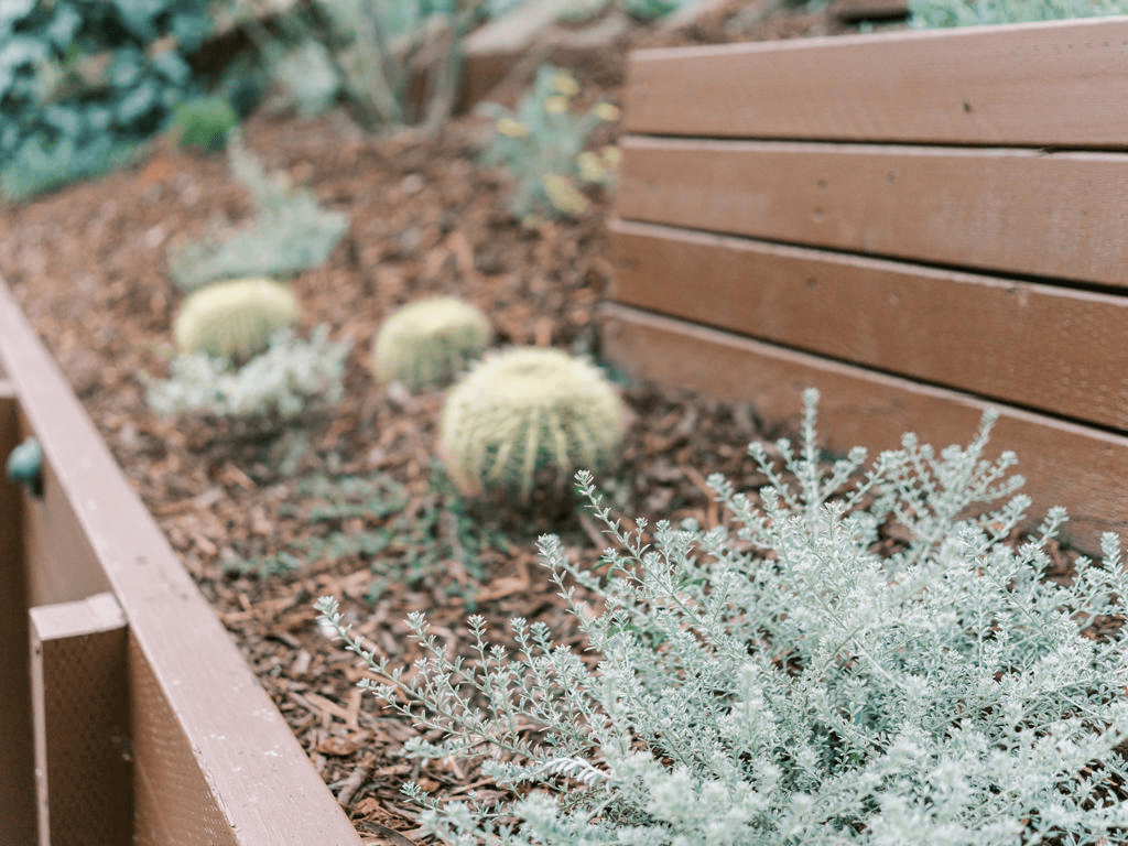 drought tolerant landscaping ideas southern california