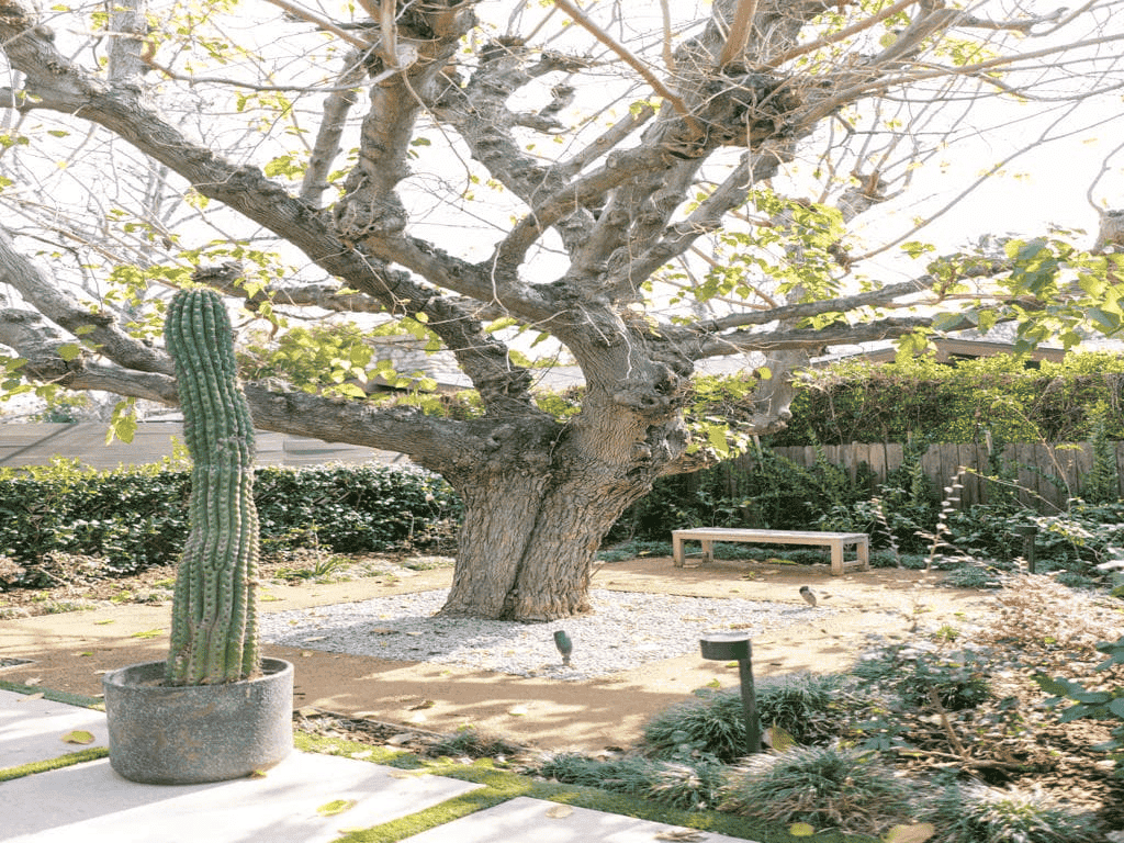 water-wise landscaping Los Angeles