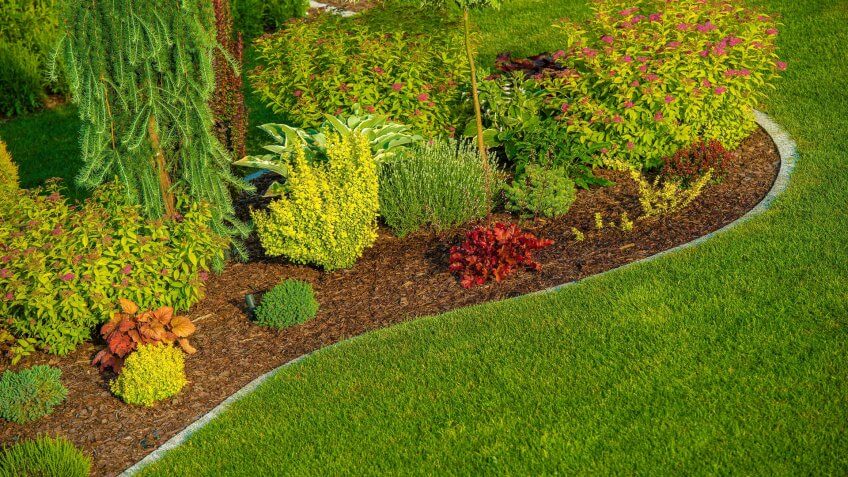 landscaping increase property value