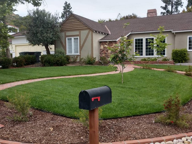 winter landscaping projects