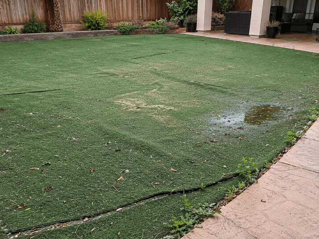 artificial turf problems