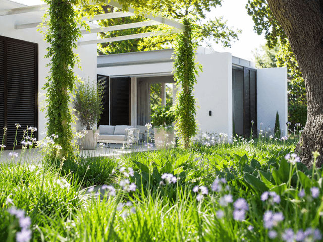 lawn alternatives not artificial turf