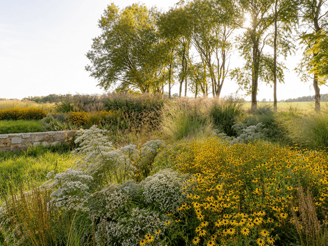 does native landscaping affect home value